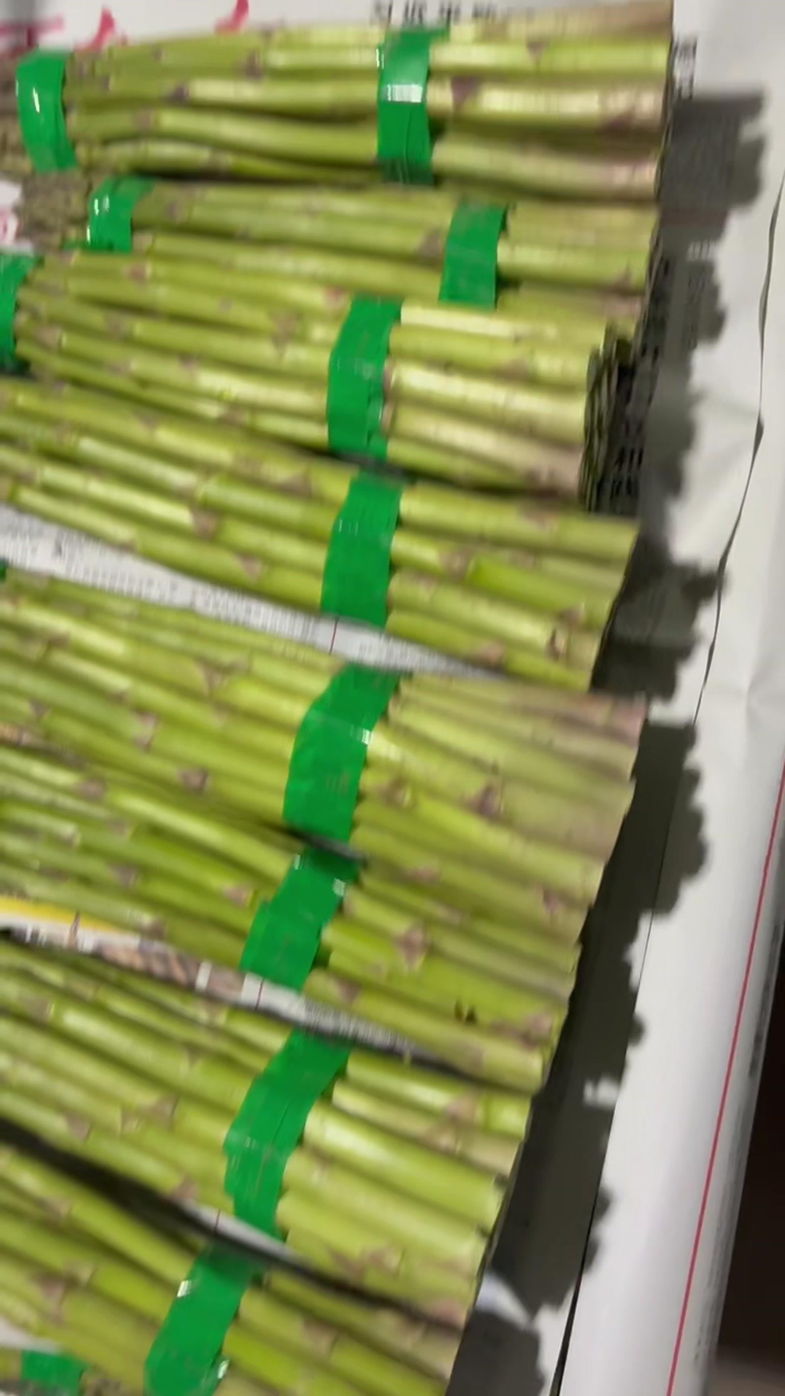 安栩农业芦笋采后分级